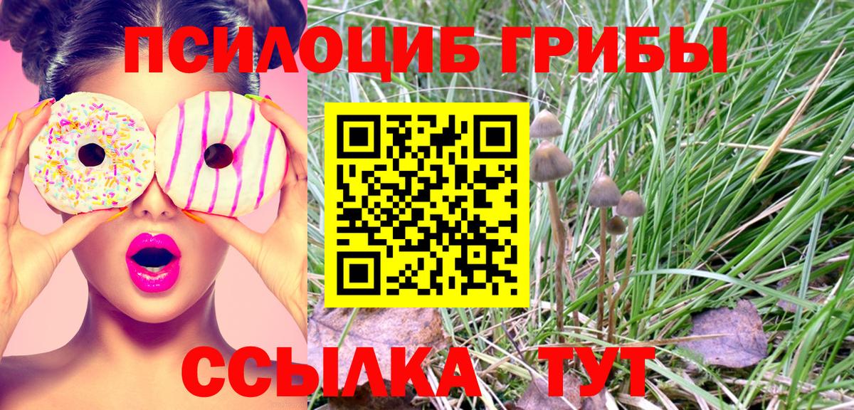Галлюциногенные грибы мухоморы  Вход с VPN  Биробиджан  Галлюциногенные грибы MAGIC MUSHROOMS 