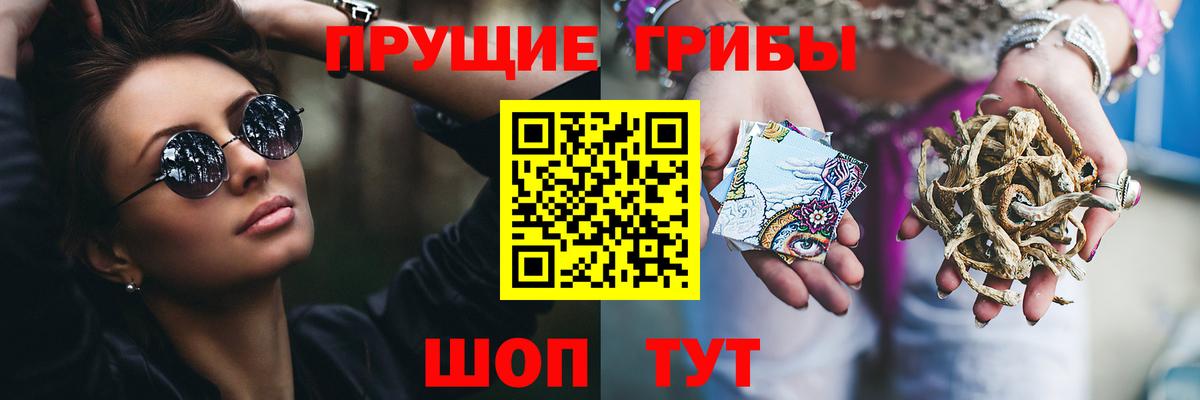 Галлюциногенные грибы Cubensis Биробиджан