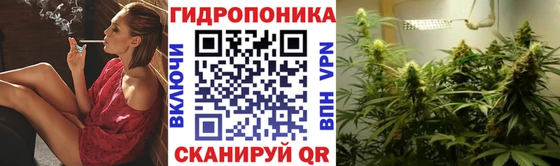 Бошки марихуана White Widow  OMG вход  Биробиджан 
